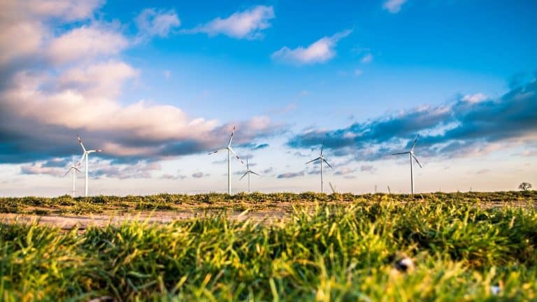 L’énergie verte : Un placement séduisant de plus en plus de Français