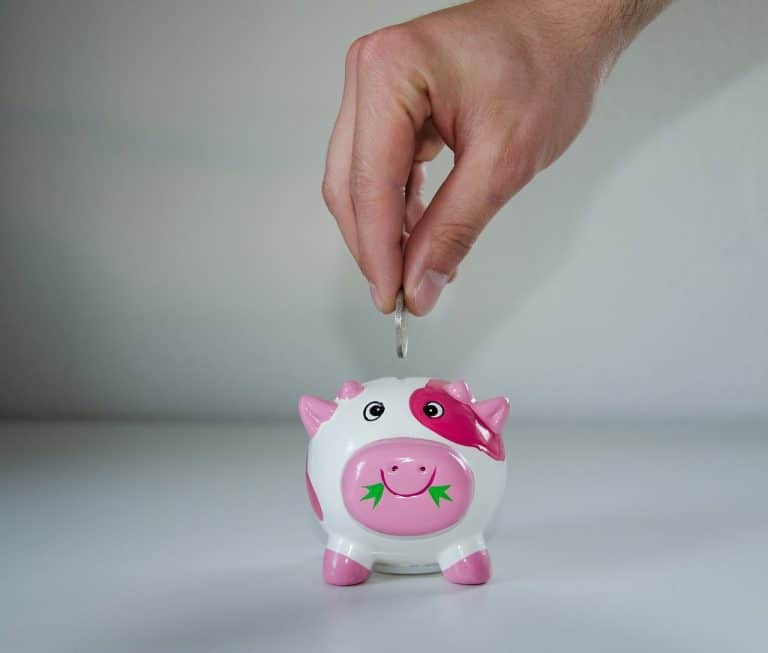 Dans quels types de supports financiers placer et investir son argent ?