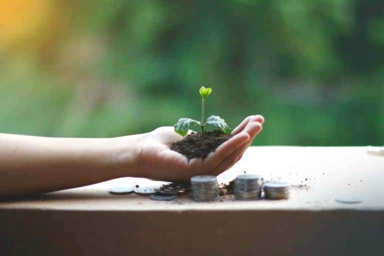 Comprendre les banques vertes : vers une finance durable et responsable pour l&rsquo;avenir de notre planète
